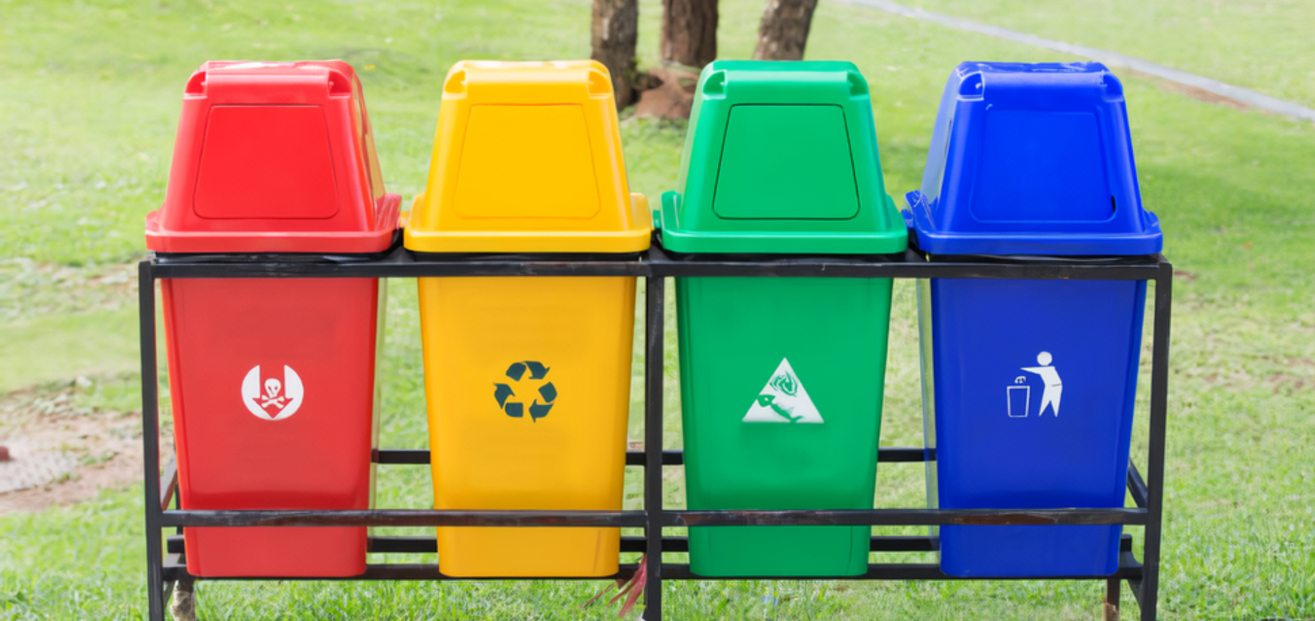 contenedores de basura por color 
